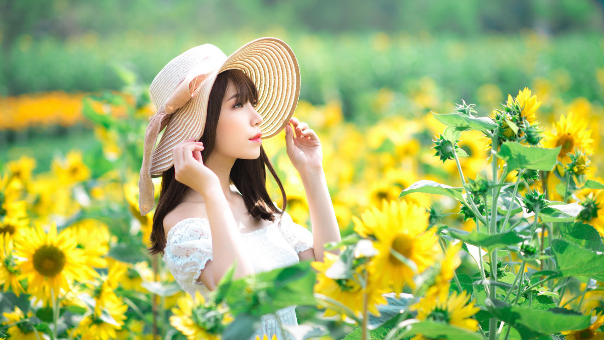 洋火盒积木安卓版 v1.0.2