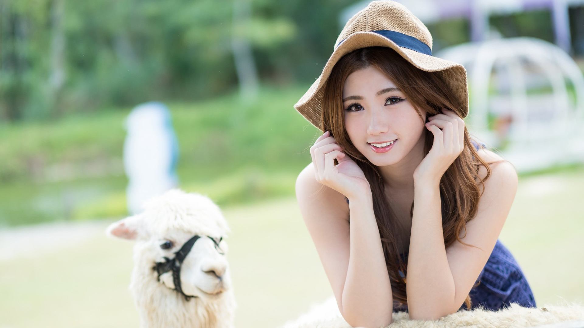 艾叶之父梅全喜:这才是好艾!