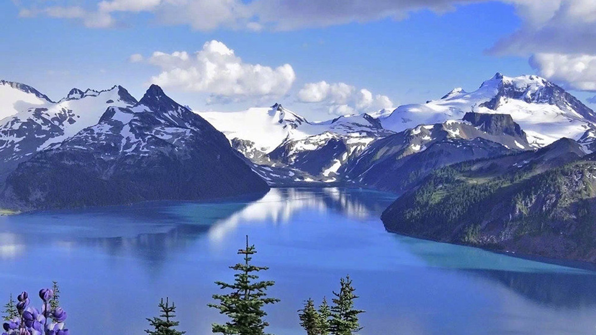 风景壁纸