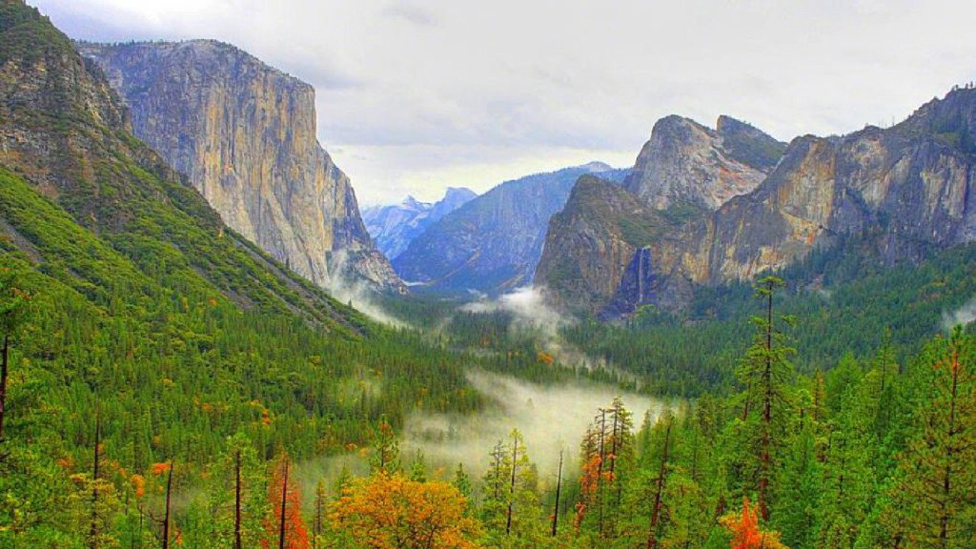 你的名字那么普通也就我听到会心头一怔。