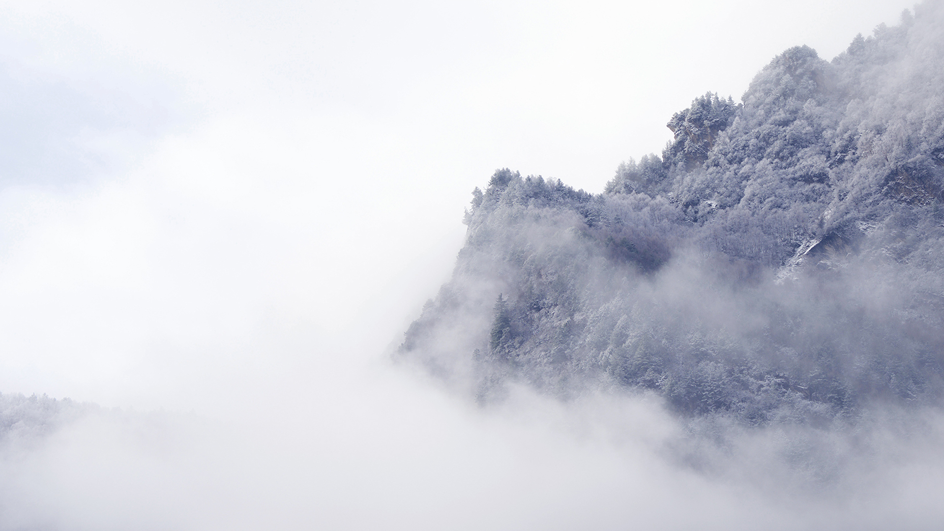 风景壁纸